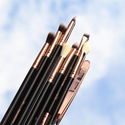 Our Top 5 Fun Facts About The Eyes to Brows Brush Set